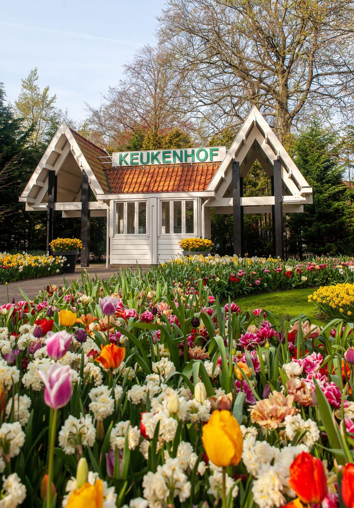 Keukenhof Gardens, Netherlands